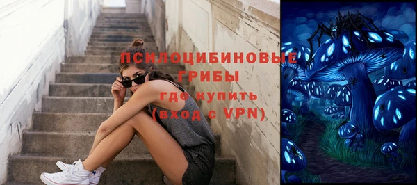 бошки Арсеньев
