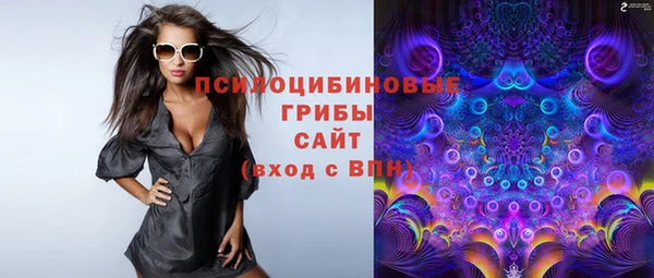 бошки Арсеньев