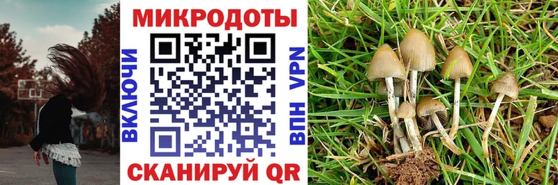 Псилоцибиновые грибы Magic Shrooms  купить наркотики цена  Белово 